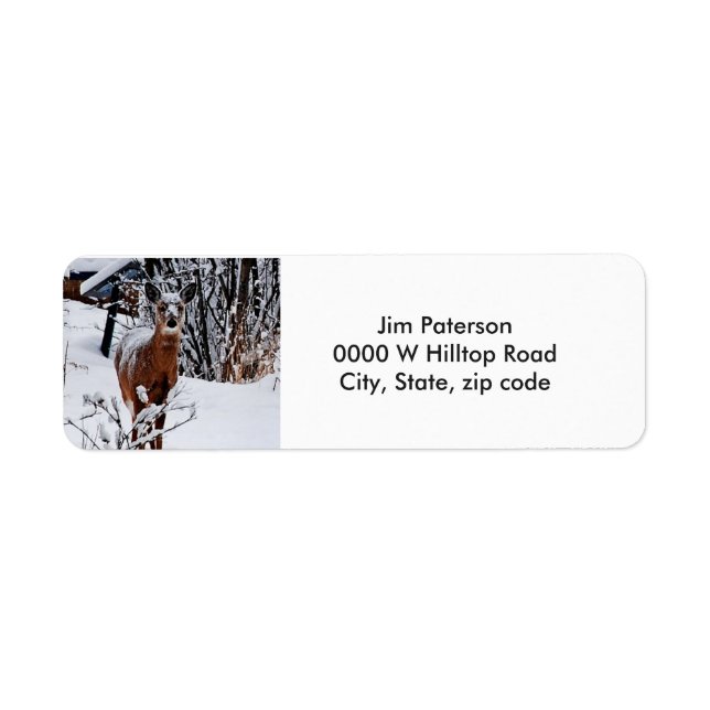 Whitetail Deer Rücksendeadressen-Aufkleber (Vorne)