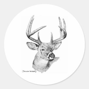 Whitetail Deer Runder Aufkleber