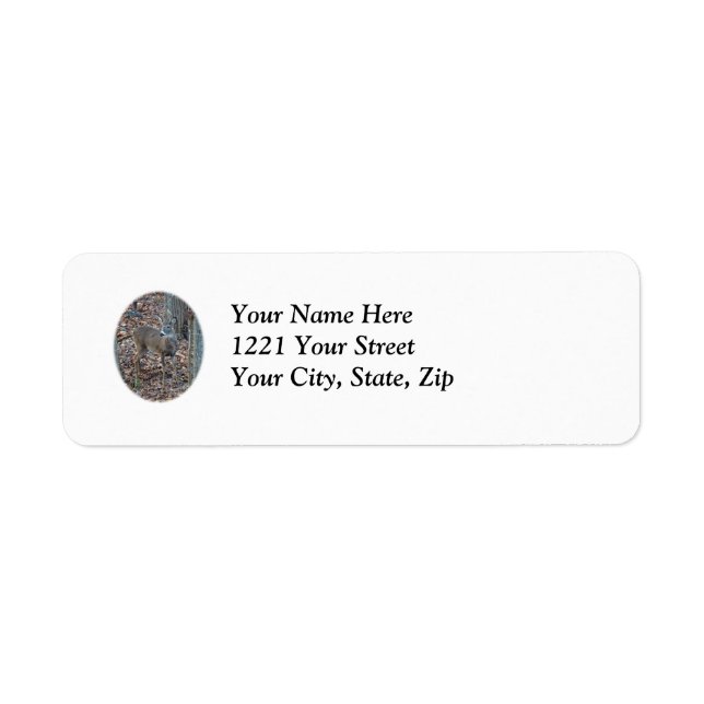 Whitetail Deer Spick Buck Series - Adressenaufkleb (Vorne)