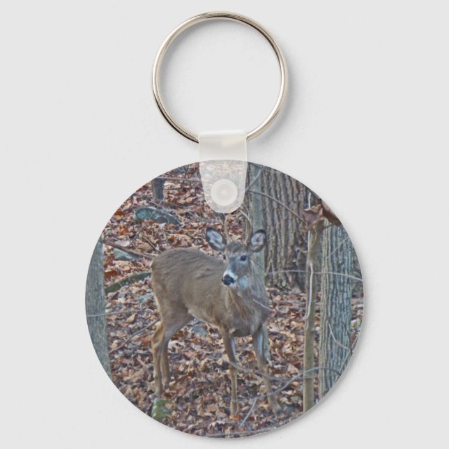 Whitetail Deer Spike Buck Serie Schlüsselanhänger (Vorderseite)