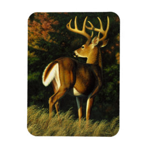 Whitetail Deer Trophy Buck Jagd Magnet