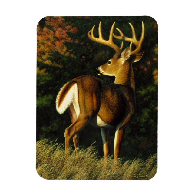 Whitetail Deer Trophy Buck Jagd Magnet (Vertikal)
