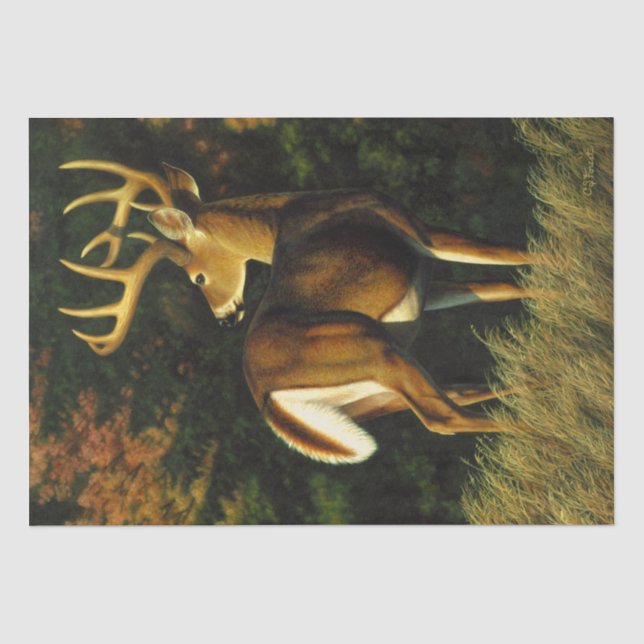 Whitetail Deer Trophy Buck Jagd Seidenpapier (Vorderseite)