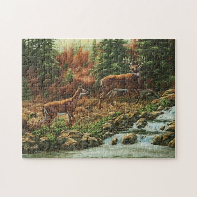 Whitetail Deer und Wasserfall (Horizontal)