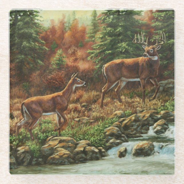 Whitetail Deer und Wasserfall Glasuntersetzer (Vorderseite)