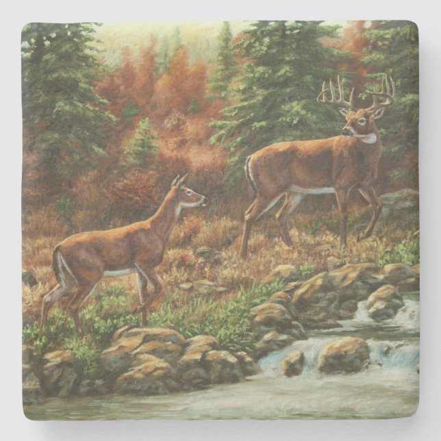 Whitetail Deer und Wasserfall Steinuntersetzer (Vorderseite)