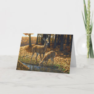 Whitetail Doe and Fawn Drinks aus einem Stream Karte