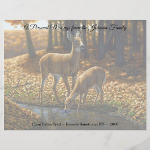 Whitetail Doe and Fawn Drinks aus einem Stream Let Briefbogen