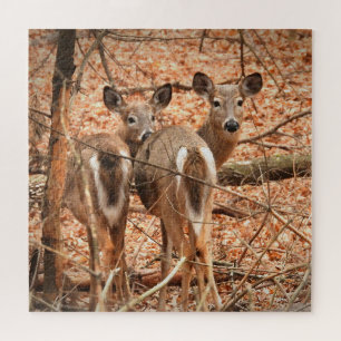 Whitetail Doe und ihr Vater im Herbstwald