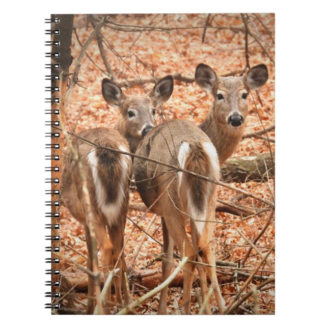 Whitetail Doe und ihr Vater im Herbstwald Notizblock (Vorderseite)