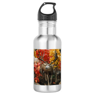 Whitetail En Automne Bouteille D'Eau En Aluminium