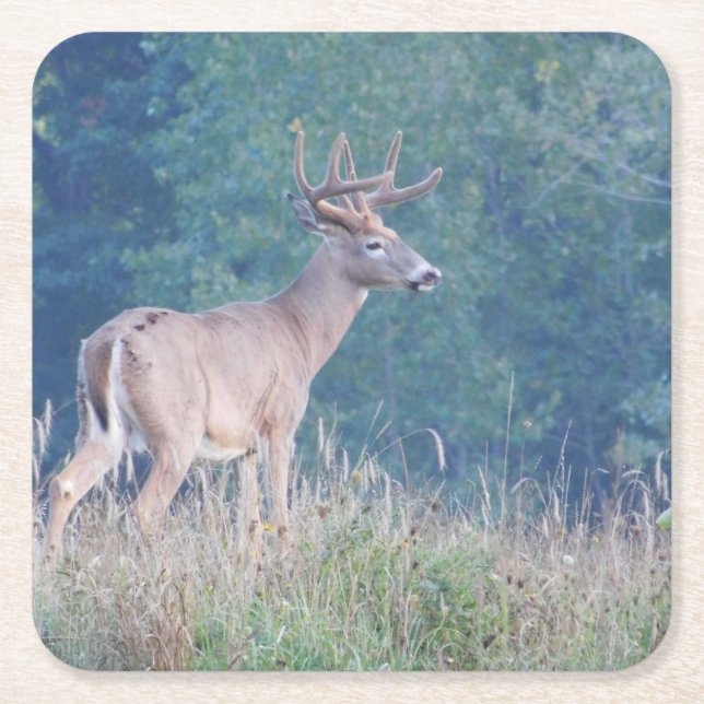 Whitetail-Hirschprofil im Untersetzer für Feldpapi (Vorderseite)