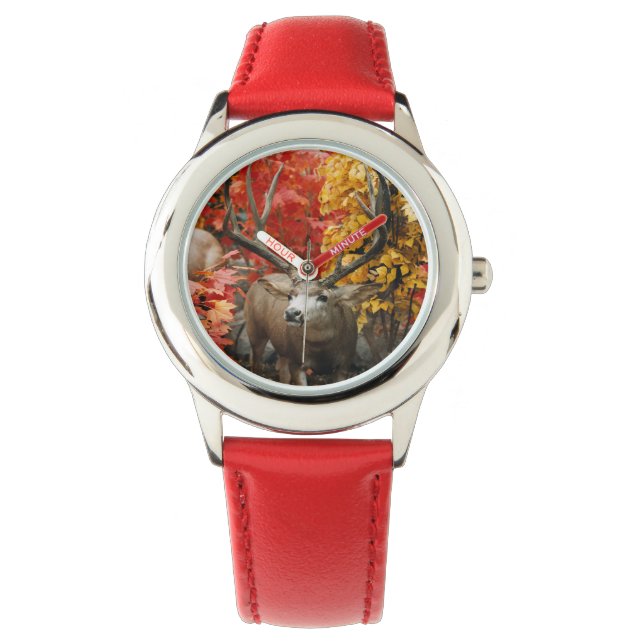 Whitetail im Herbst Armbanduhr (Vorderseite)