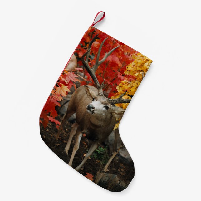 Whitetail im Herbst Kleiner Weihnachtsstrumpf (Vorderansicht (hängend))