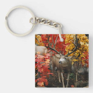 Whitetail im Herbst Schlüsselanhänger