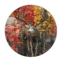 Whitetail im Herbst