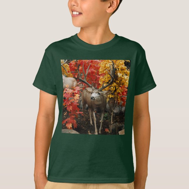 Whitetail im Herbst T-Shirt (Vorderseite)