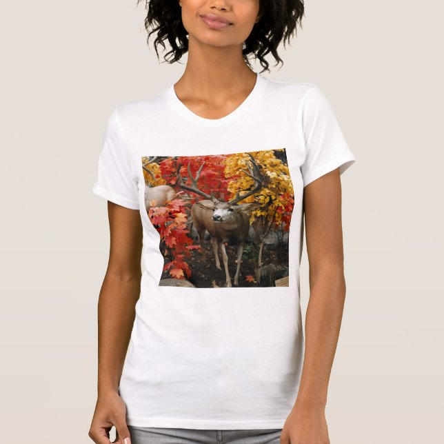Whitetail im Herbst T-Shirt (Vorderseite)