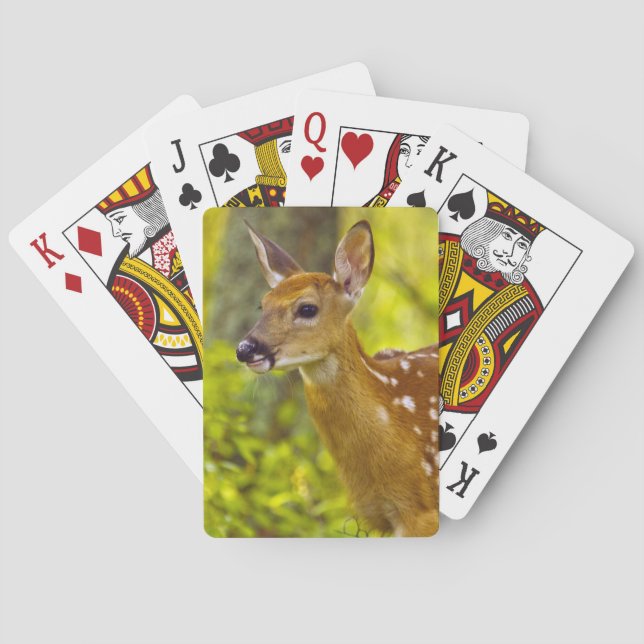 Whitetail Reh in Whitefish, Montana, USA Spielkarten (Rückseite)