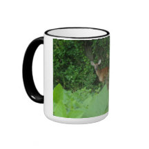 Whitetail-Rotwild zwei tonten Kaffee-Tasse