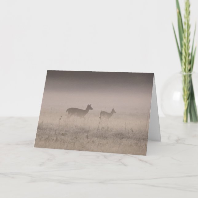 Whitetailed Deer - Quiet Winter Morning  Karte (Vorderseite)