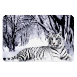 WhiteTiger Magnet