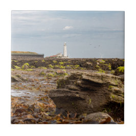 Whitley Bay lighthouse Fliese