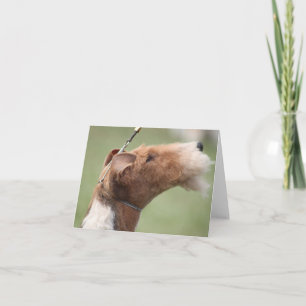 Whitman Notecard Karte