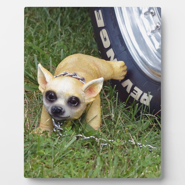 Whiz Kid Fotoplatte (Vorderseite)