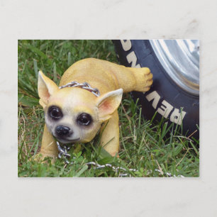 Whiz Kid Postkarte