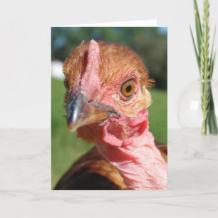 Who Me? A Turkin Chicken Karte