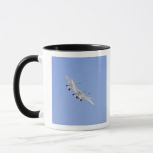 Whooper-Schwäne, die in den Himmel fliegen Tasse