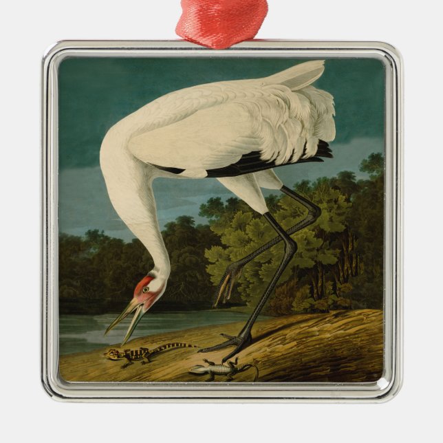 Whooping Crane Audubon Bird Painting Ornament Aus Metall (Vorne)