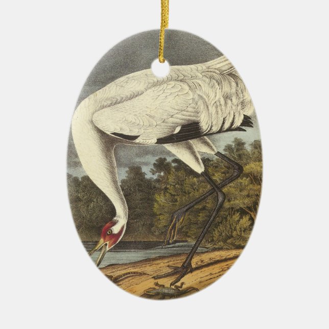 Whooping Kran, John Audubon Keramikornament (Vorne)