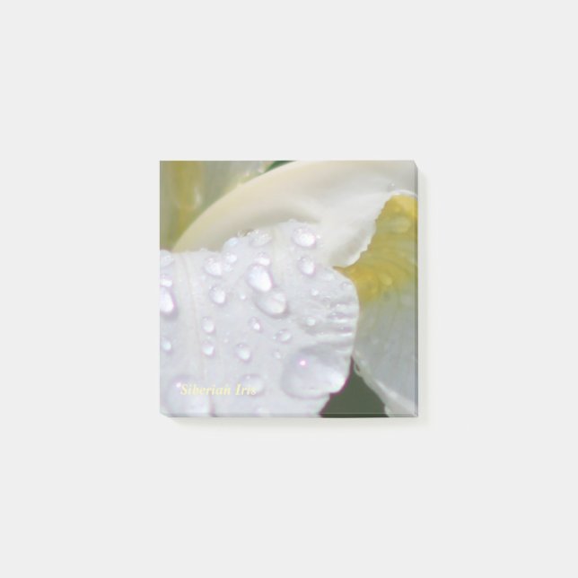 Whtie sibirische Iris-Regen-Tropfen Post-it Klebezettel (Vorderseite)