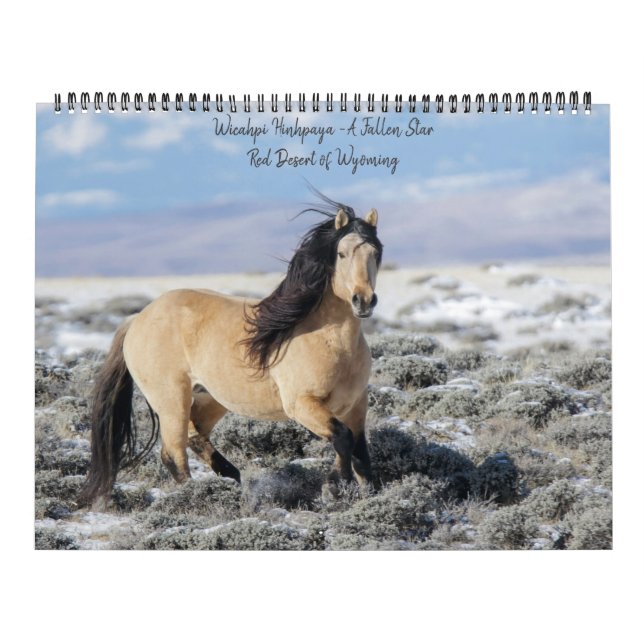 Wicahpi Hinhpaya - Une étoile tombée : Calendrier  (Protection)