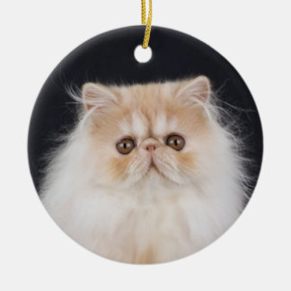 WiccaCats Meira Rundschmuck Keramik Ornament