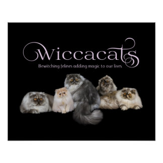 WiccaCats-Plakat Poster