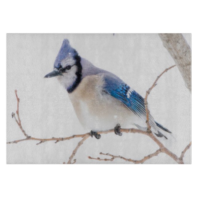 Wichita Landkreis, Texas. Blue Jay Schneidebrett (Vorderseite)