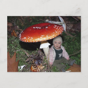 Wichtel - Zwerg unter dem Fliegenpilz Postkarte