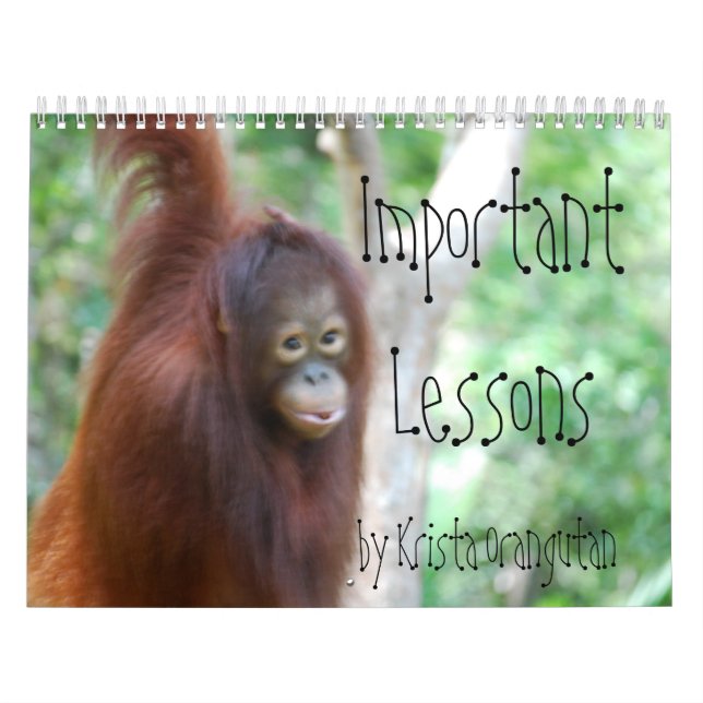Wichtige Lehren für Kinder von Krista Orangutan Kalender (Titelbild)