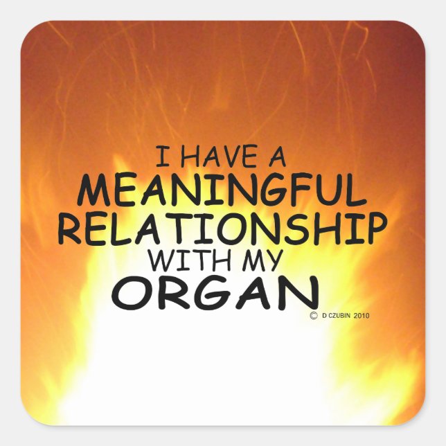 Wichtige Relationship Organ Square Sticker (Vorderseite)
