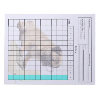 Wichtiges SpEd-Tool: Leeres Datenblatt (Tests) Notizblock