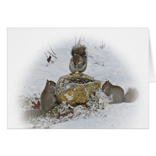 Wichtiges Treffen (Vorderseite (Horizontal))