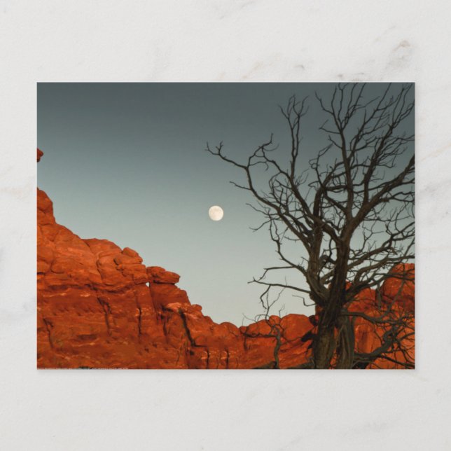 Wicked Moon Postkarte (Vorderseite)