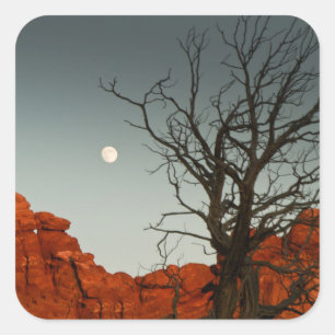 Wicked Moon Quadratischer Aufkleber