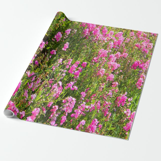 Wicken auf dem Hügel.... Geschenkpapier (Ungerollt)
