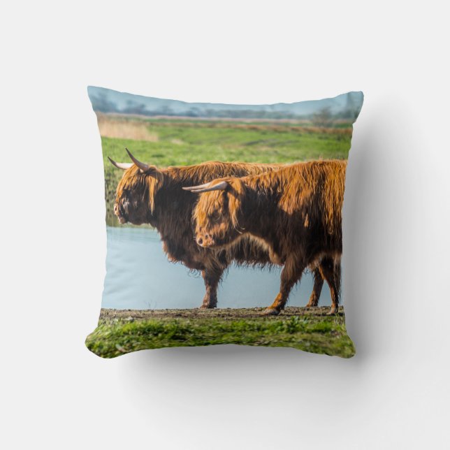 Wicken Fen cattle Kissen (Vorderseite)