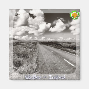 Wicklow Magnet
