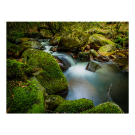 Wicklow's ruhige Waters Poster